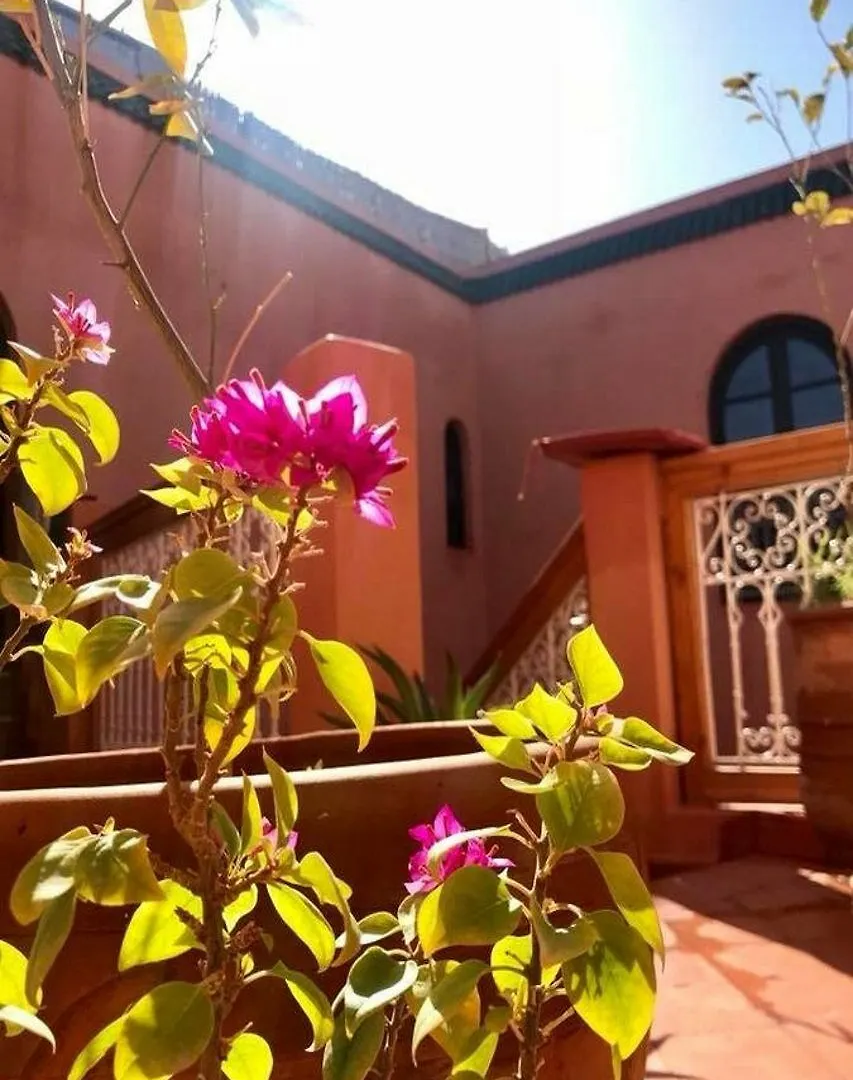 Riad La Perle De Marrakech Marrakesh